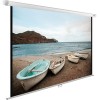 Проекционный экран CACTUS WallExpert 220x165 CS-PSWE-220x165-WT
