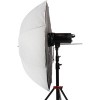 Фотозонт Falcon Eyes UB-60W